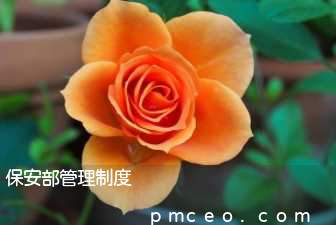 保安部管理制度